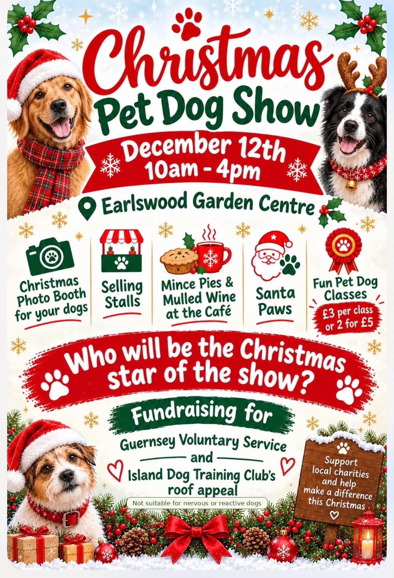 Christmas Pet Dog Show